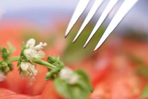 地域に愛され続ける岡山県津山市の老舗お弁当店「お弁当のつるや」の魅力と特徴