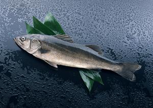 手軽に使えるシーズニングスパイス