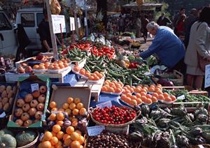 【2025年最新版】へぎそばの魅力と美味しい食べ方完全ガイド｜地域別おすすめ店も紹介