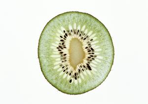 新橋で絶品焼き牡蠣と海鮮料理を堪能！かき小屋新橋店の魅力と詳細ガイド