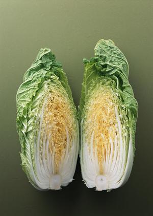 東京国際フォーラムのシェイクシャック – 新しいハンバーガー体験のご紹介