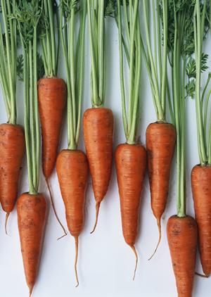 スカイツリーが見える和食のお店