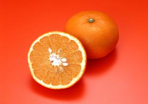 小倉の絶品ビアホール徹底ガイド｜クラフトビールとムーディーな空間で過ごす至福の時間