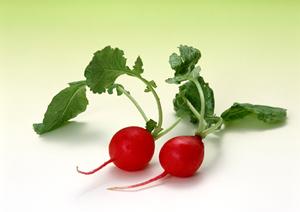 国内産の安全なソバ粉を通販で買えます