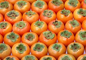 高崎でランチをするのにおすすめのカフェ