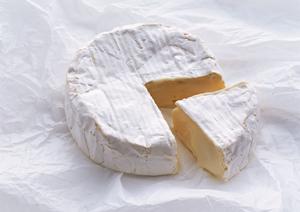 東京ドームのシェイクシャックで楽しむ美味しいハンバーガー体験